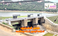 panjapalli_dam